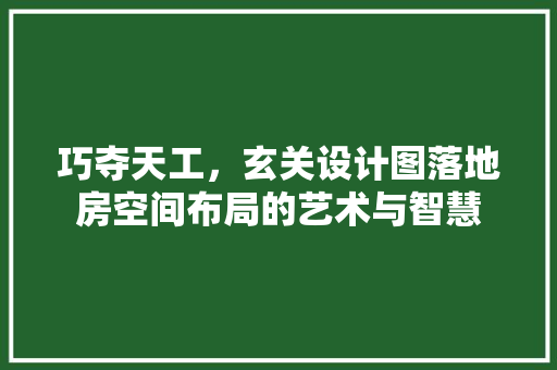巧夺天工，玄关设计图落地房空间布局的艺术与智慧