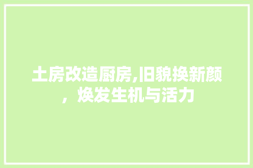土房改造厨房,旧貌换新颜，焕发生机与活力
