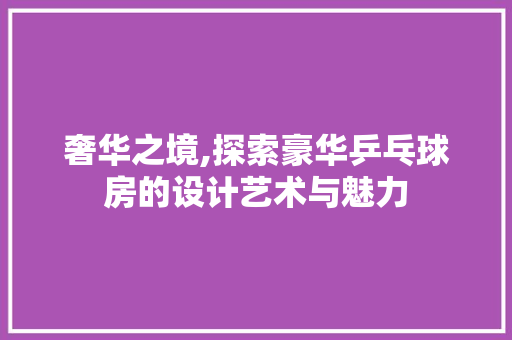 奢华之境,探索豪华乒乓球房的设计艺术与魅力
