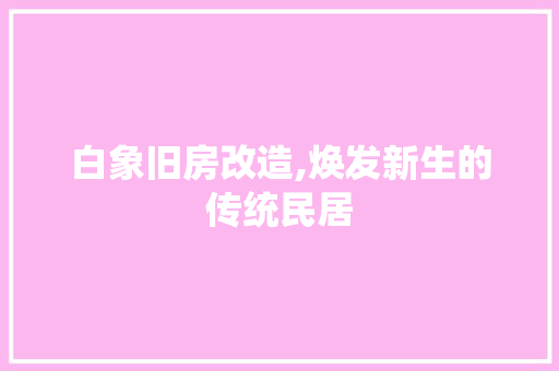 白象旧房改造,焕发新生的传统民居