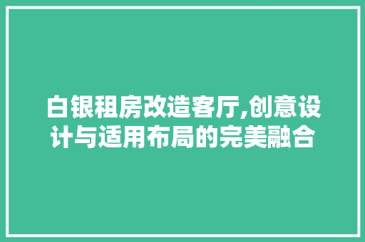 白银租房改造客厅,创意设计与适用布局的完美融合