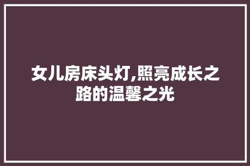 女儿房床头灯,照亮成长之路的温馨之光