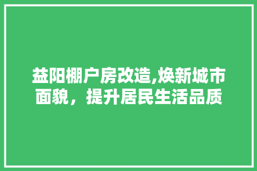 益阳棚户房改造,焕新城市面貌，提升居民生活品质