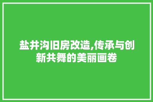 盐井沟旧房改造,传承与创新共舞的美丽画卷