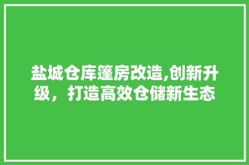 盐城仓库篷房改造,创新升级，打造高效仓储新生态