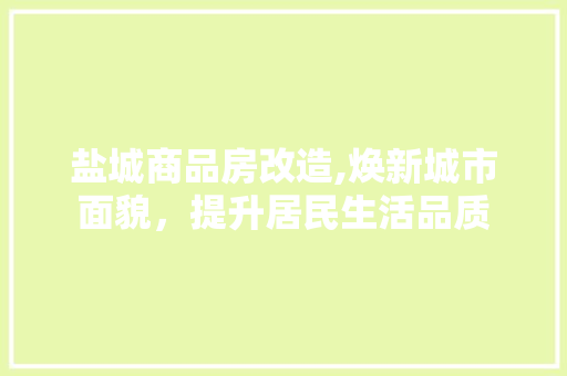 盐城商品房改造,焕新城市面貌，提升居民生活品质