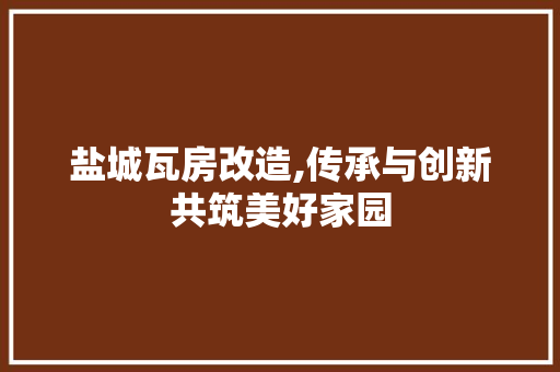 盐城瓦房改造,传承与创新共筑美好家园