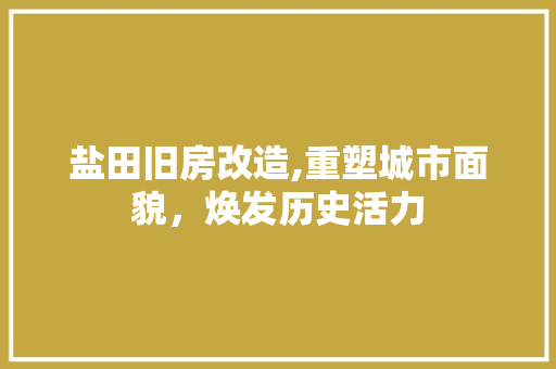 盐田旧房改造,重塑城市面貌，焕发历史活力