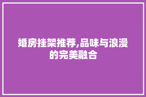 婚房挂架推荐,品味与浪漫的完美融合