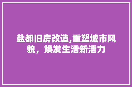 盐都旧房改造,重塑城市风貌，焕发生活新活力