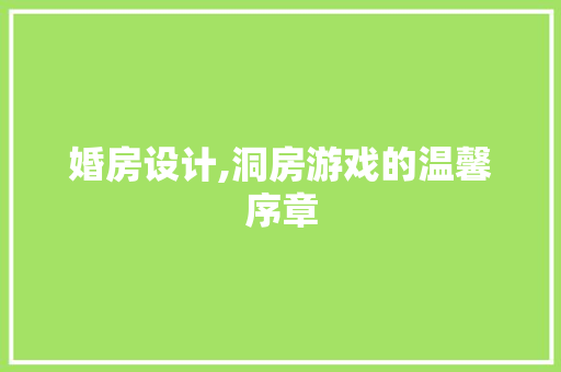 婚房设计,洞房游戏的温馨序章