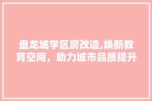 盘龙城学区房改造,焕新教育空间，助力城市品质提升