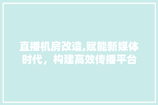直播机房改造,赋能新媒体时代，构建高效传播平台