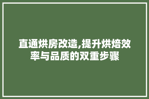直通烘房改造,提升烘焙效率与品质的双重步骤