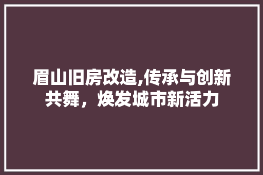 眉山旧房改造,传承与创新共舞，焕发城市新活力