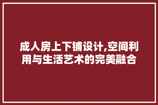 成人房上下铺设计,空间利用与生活艺术的完美融合