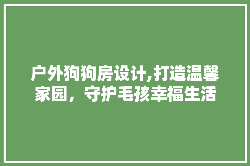 户外狗狗房设计,打造温馨家园，守护毛孩幸福生活