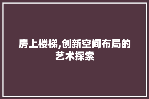 房上楼梯,创新空间布局的艺术探索