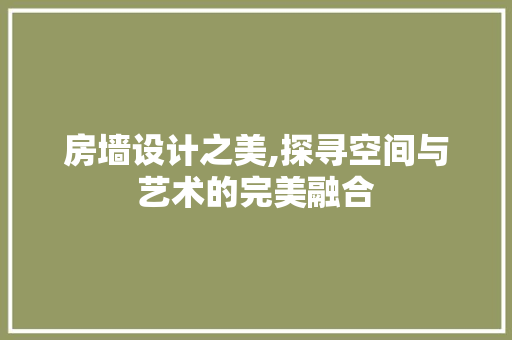 房墙设计之美,探寻空间与艺术的完美融合