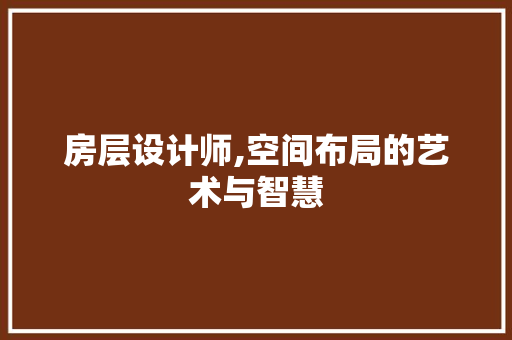 房层设计师,空间布局的艺术与智慧
