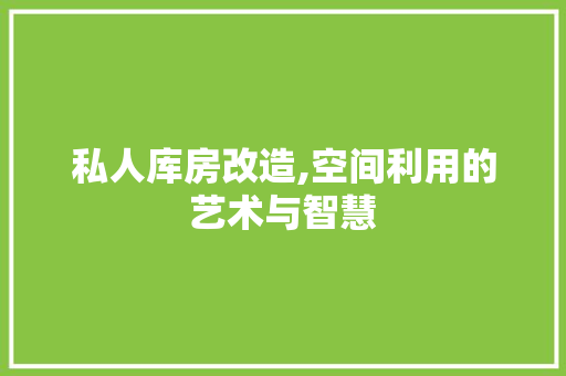 私人库房改造,空间利用的艺术与智慧
