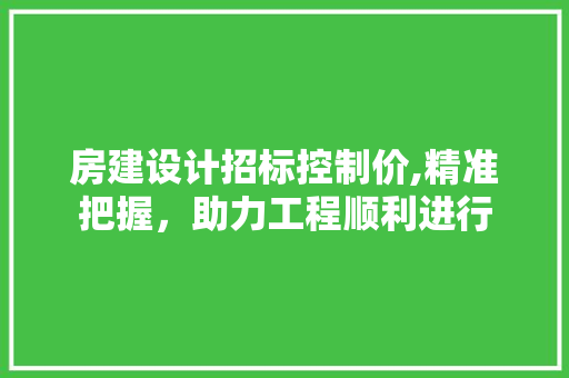 房建设计招标控制价,精准把握，助力工程顺利进行