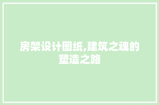 房架设计图纸,建筑之魂的塑造之路