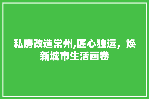 私房改造常州,匠心独运，焕新城市生活画卷