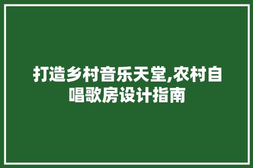 打造乡村音乐天堂,农村自唱歌房设计指南
