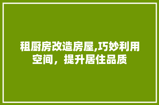 租厨房改造房屋,巧妙利用空间，提升居住品质