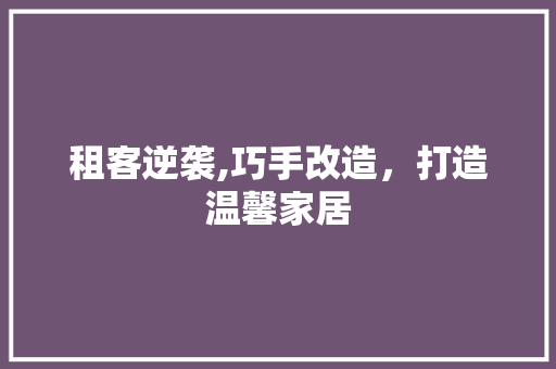租客逆袭,巧手改造，打造温馨家居