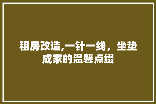 租房改造,一针一线，坐垫成家的温馨点缀