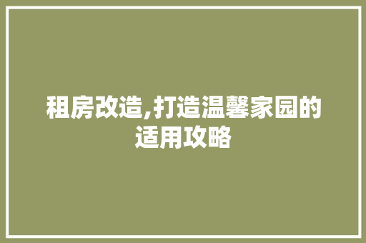 租房改造,打造温馨家园的适用攻略