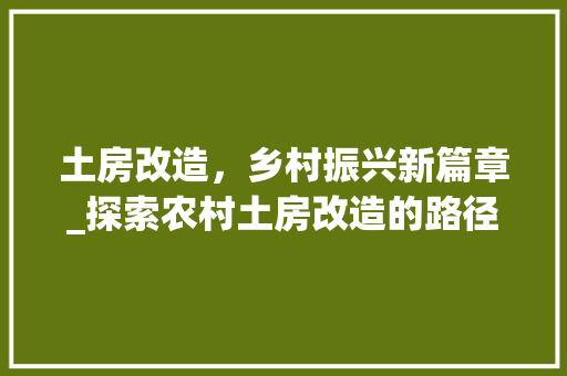 土房改造，乡村振兴新篇章_探索农村土房改造的路径与意义