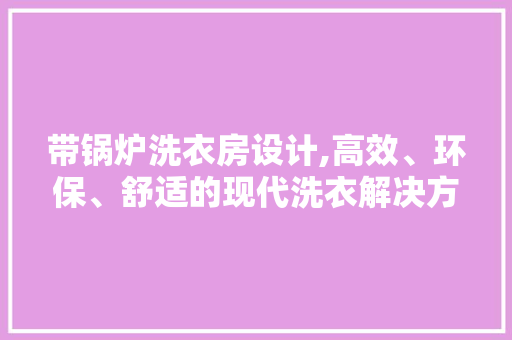 带锅炉洗衣房设计,高效、环保、舒适的现代洗衣解决方法