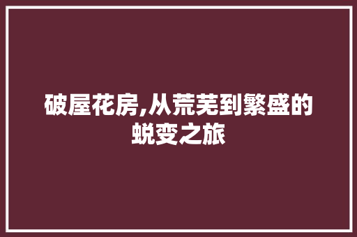 破屋花房,从荒芜到繁盛的蜕变之旅