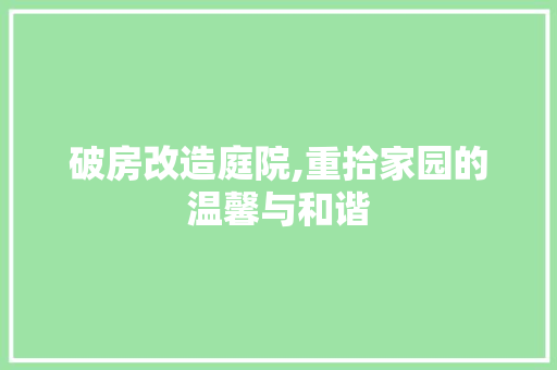 破房改造庭院,重拾家园的温馨与和谐