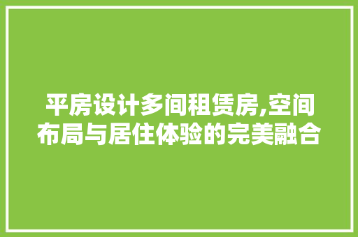 平房设计多间租赁房,空间布局与居住体验的完美融合
