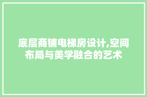 底层商铺电梯房设计,空间布局与美学融合的艺术