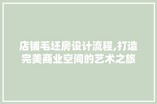 店铺毛坯房设计流程,打造完美商业空间的艺术之旅
