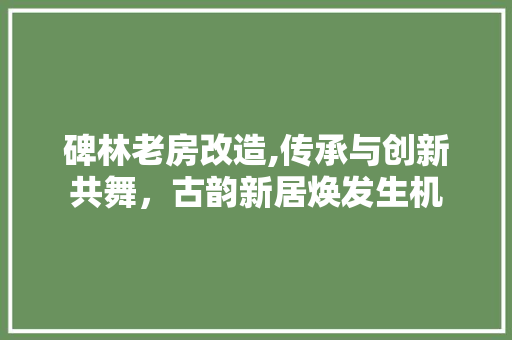 碑林老房改造,传承与创新共舞，古韵新居焕发生机