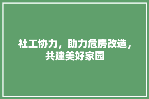 社工协力，助力危房改造，共建美好家园