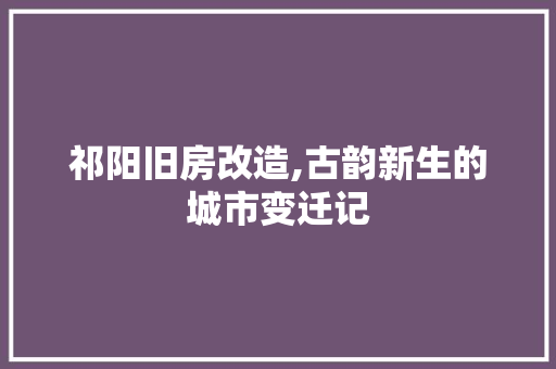 祁阳旧房改造,古韵新生的城市变迁记