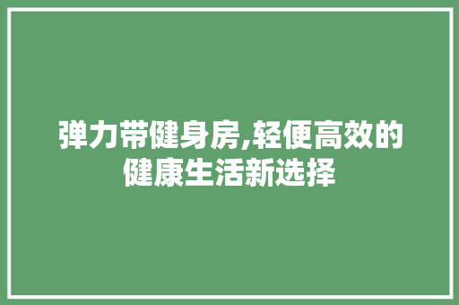 弹力带健身房,轻便高效的健康生活新选择