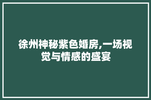 徐州神秘紫色婚房,一场视觉与情感的盛宴