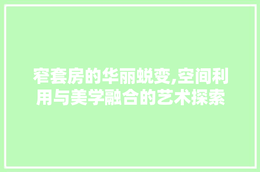 窄套房的华丽蜕变,空间利用与美学融合的艺术探索