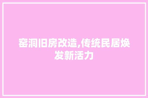 窑洞旧房改造,传统民居焕发新活力