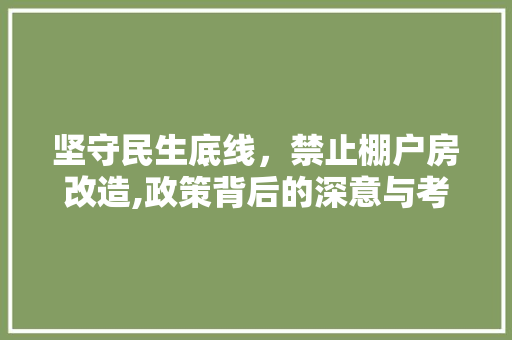 坚守民生底线，禁止棚户房改造,政策背后的深意与考量