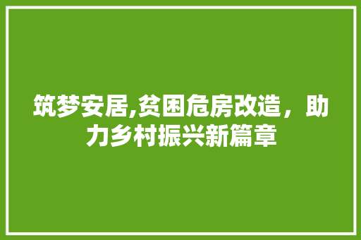 筑梦安居,贫困危房改造，助力乡村振兴新篇章