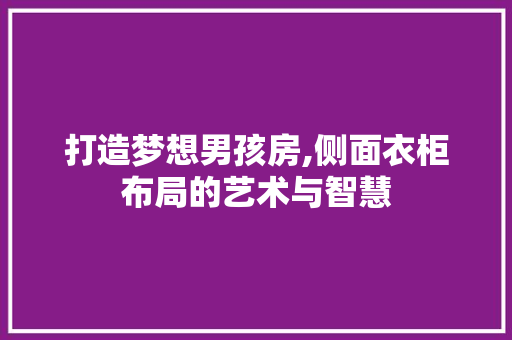 打造梦想男孩房,侧面衣柜布局的艺术与智慧